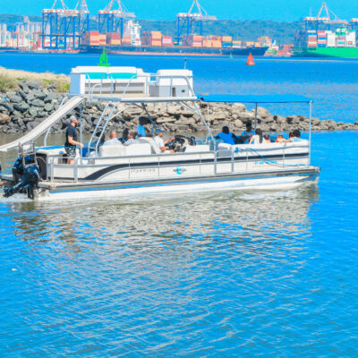 Luxury Harbour Cruise 1 hour Boat Ride